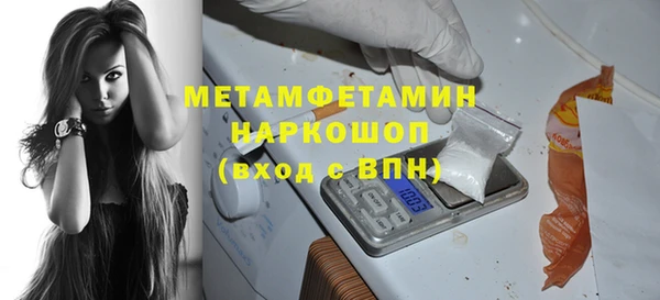 сатива Липки