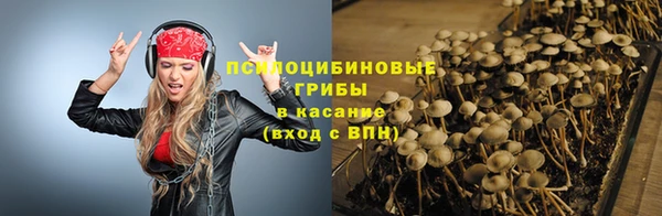 таблы Лабытнанги