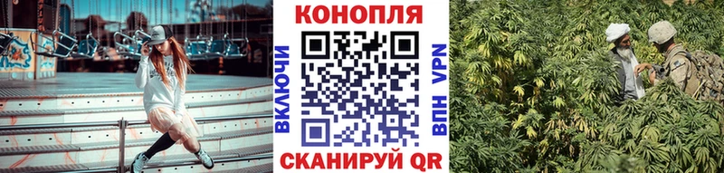 МАРИХУАНА планчик  купить   Мещовск 